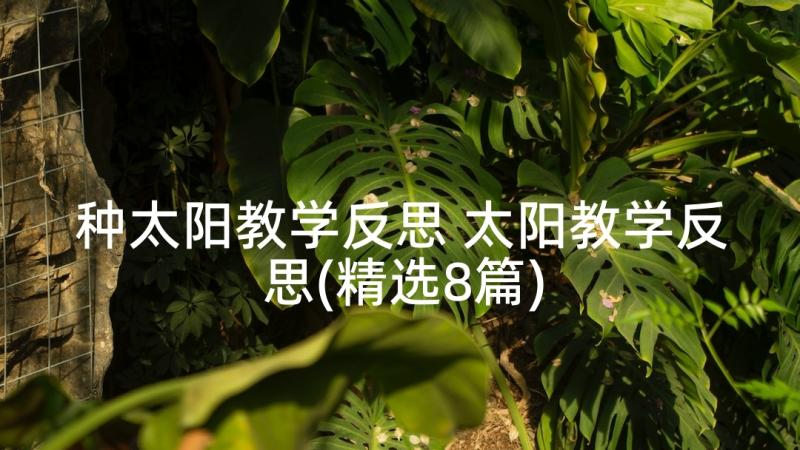 种太阳教学反思 太阳教学反思(精选8篇)