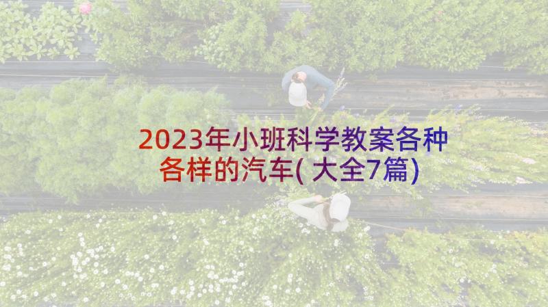 2023年小班科学教案各种各样的汽车(大全7篇)