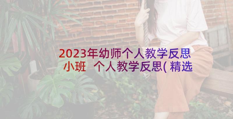 2023年幼师个人教学反思小班 个人教学反思(精选7篇)