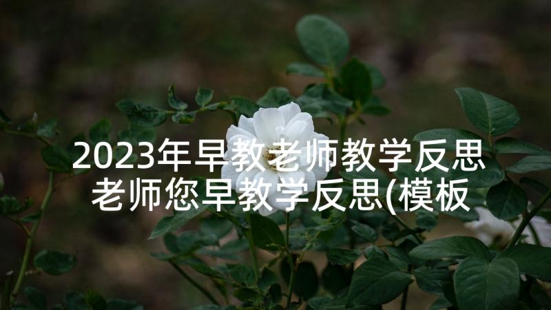 2023年早教老师教学反思 老师您早教学反思(模板9篇)