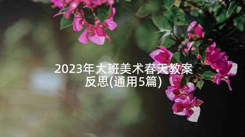 2023年大班美术春天教案反思(通用5篇)