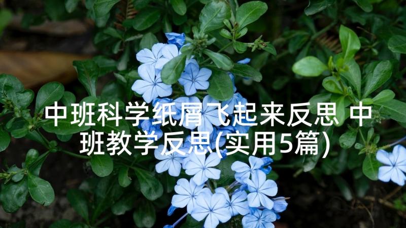 中班科学纸屑飞起来反思 中班教学反思(实用5篇)