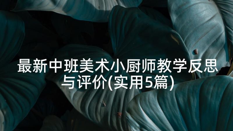 最新中班美术小厨师教学反思与评价(实用5篇)