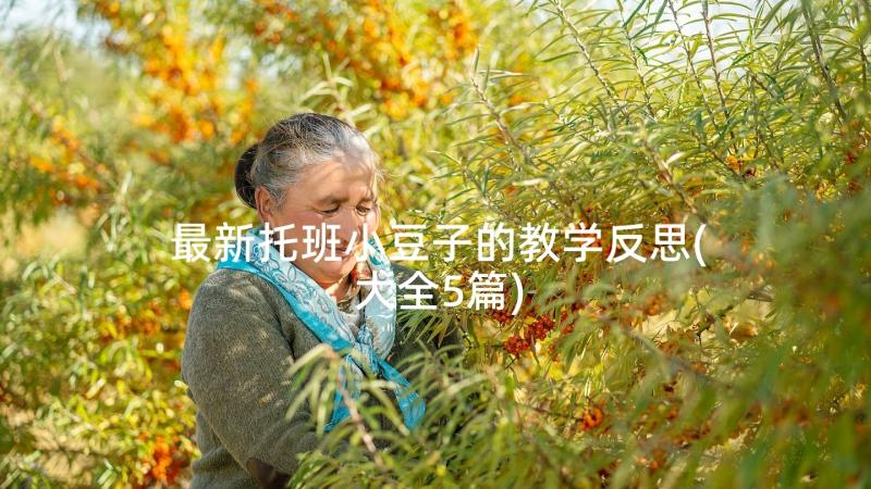 最新托班小豆子的教学反思(大全5篇)