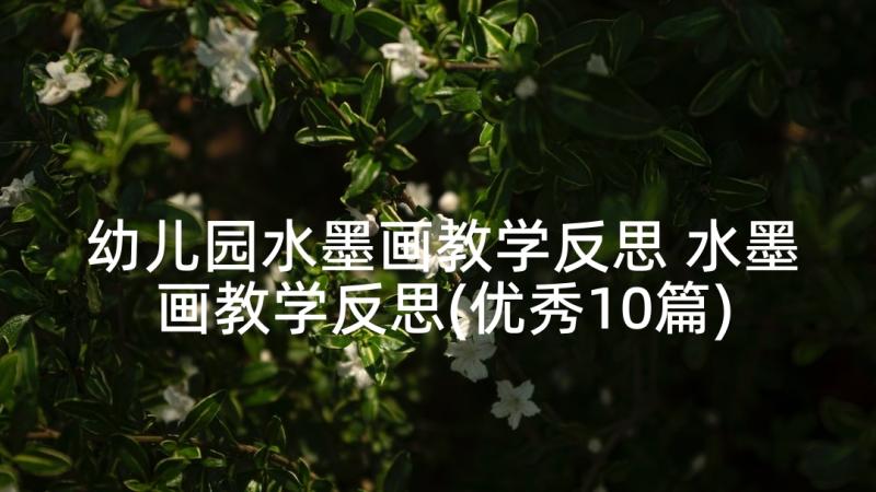 幼儿园水墨画教学反思 水墨画教学反思(优秀10篇)