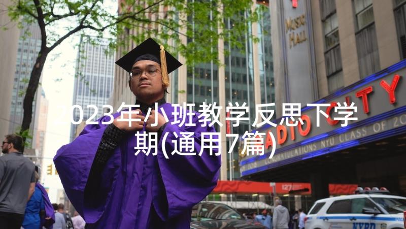 2023年小班教学反思下学期(通用7篇)