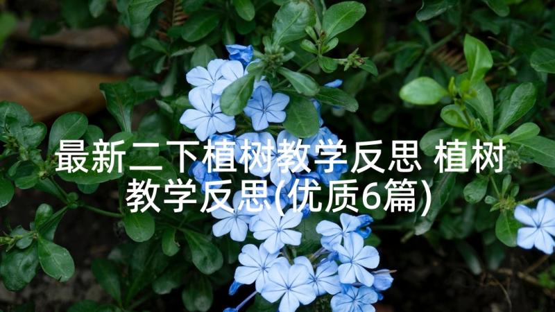 最新二下植树教学反思 植树教学反思(优质6篇)