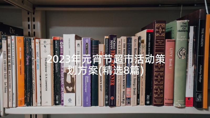 2023年元宵节超市活动策划方案(精选8篇)