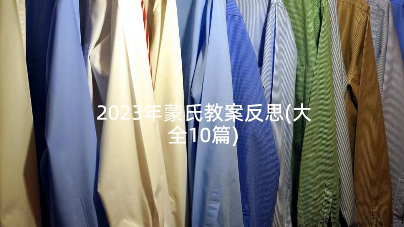 2023年蒙氏教案反思(大全10篇)