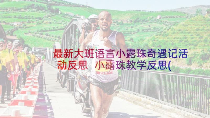 最新大班语言小露珠奇遇记活动反思 小露珠教学反思(精选5篇)