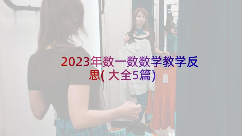 2023年数一数数学教学反思(大全5篇)