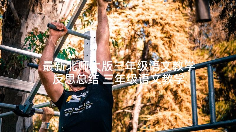 最新北师大版三年级语文教学反思总结 三年级语文教学反思(精选9篇)