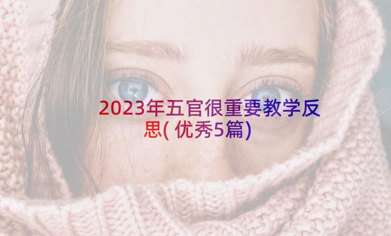 2023年五官很重要教学反思(优秀5篇)