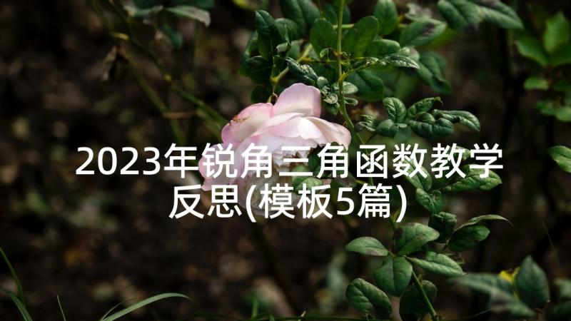 2023年锐角三角函数教学反思(模板5篇)