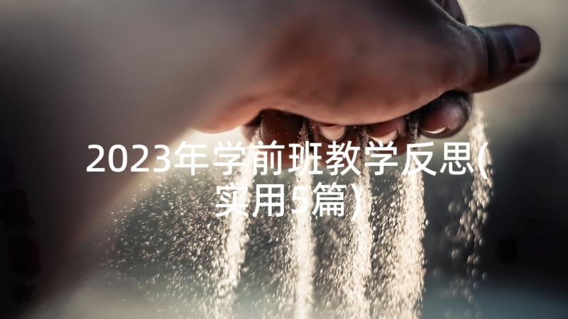 2023年学前班教学反思(实用5篇)