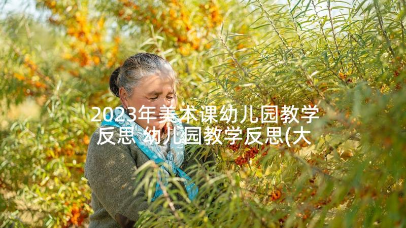 2023年美术课幼儿园教学反思 幼儿园教学反思(大全5篇)