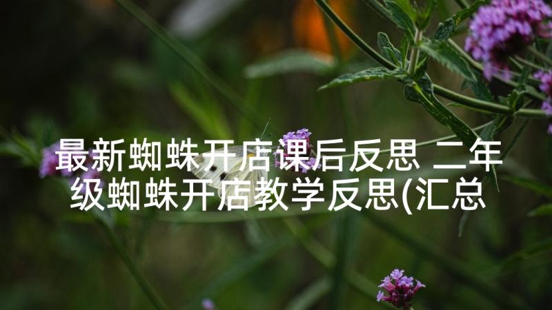 最新蜘蛛开店课后反思 二年级蜘蛛开店教学反思(汇总5篇)