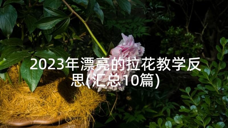 2023年漂亮的拉花教学反思(汇总10篇)