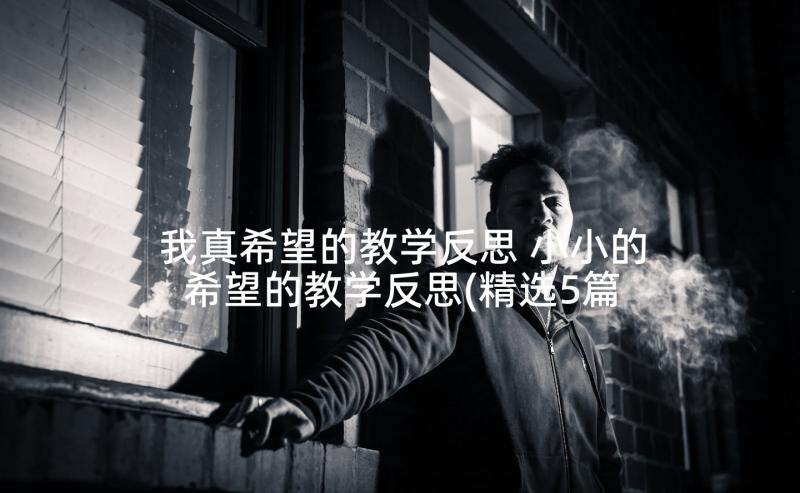 我真希望的教学反思 小小的希望的教学反思(精选5篇)