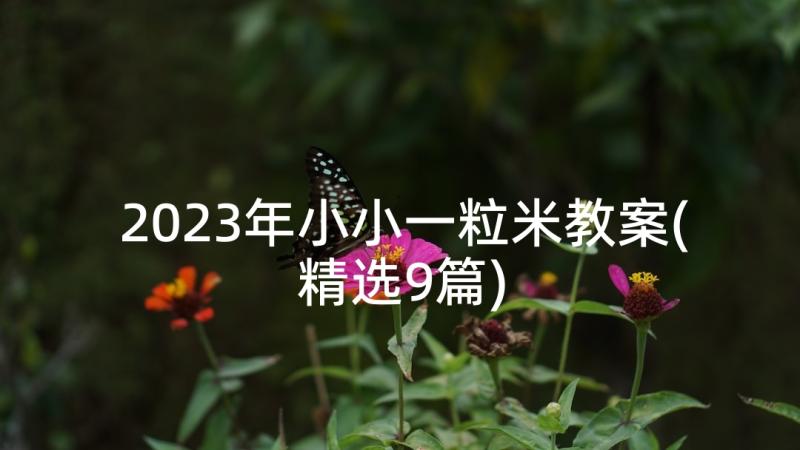 2023年小小一粒米教案(精选9篇)