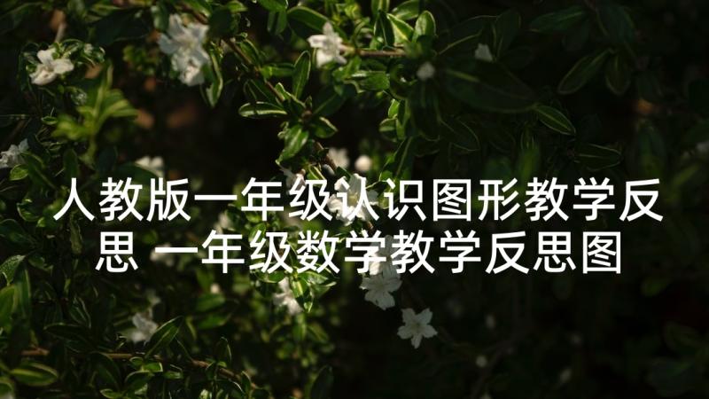 人教版一年级认识图形教学反思 一年级数学教学反思图形的拼组(汇总9篇)