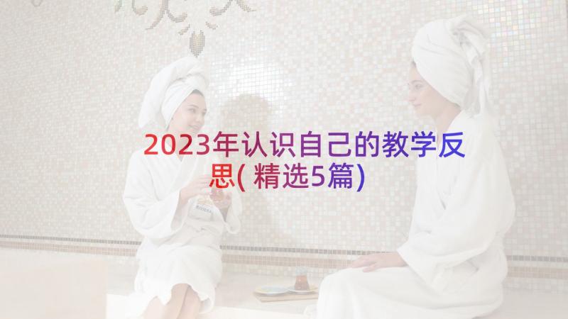 2023年认识自己的教学反思(精选5篇)