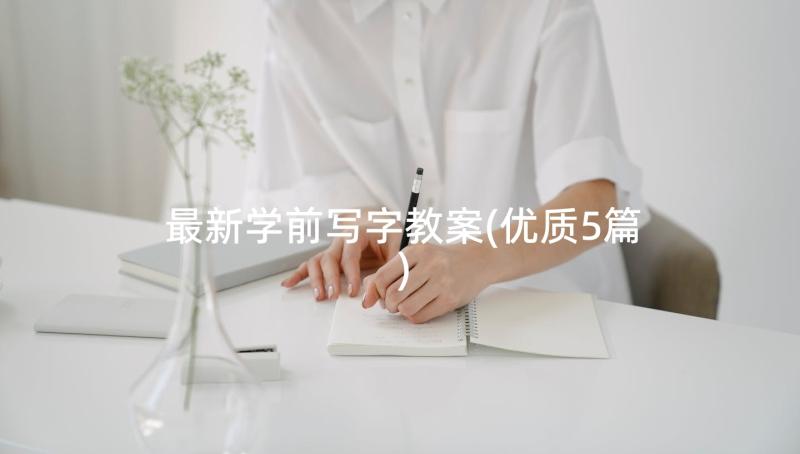 最新学前写字教案(优质5篇)