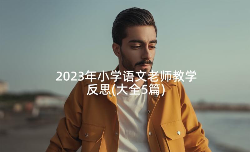 2023年小学语文老师教学反思(大全5篇)