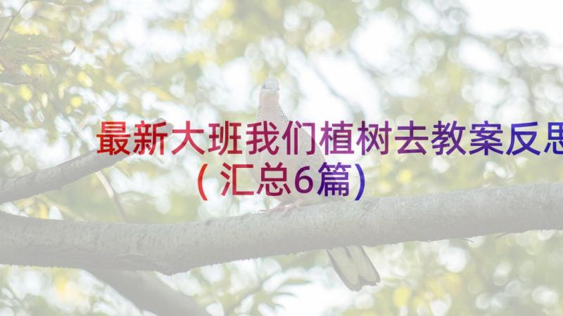 最新大班我们植树去教案反思(汇总6篇)