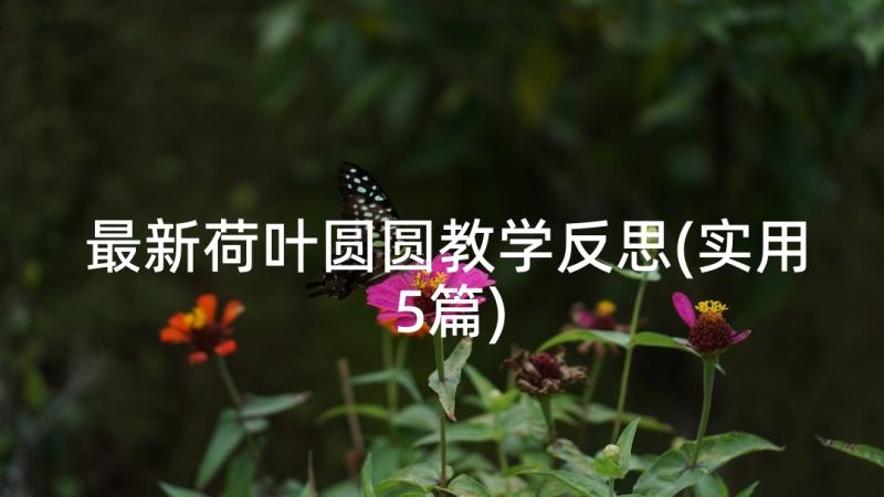 最新荷叶圆圆教学反思(实用5篇)