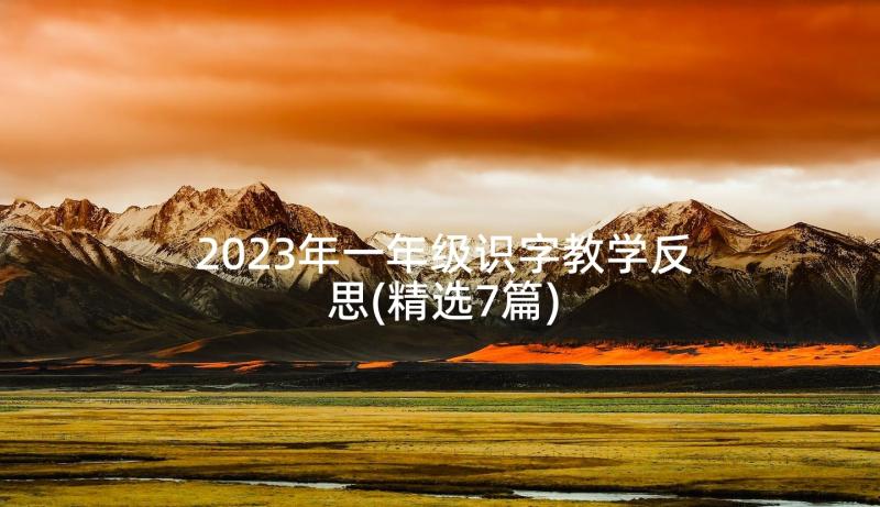 2023年一年级识字教学反思(精选7篇)