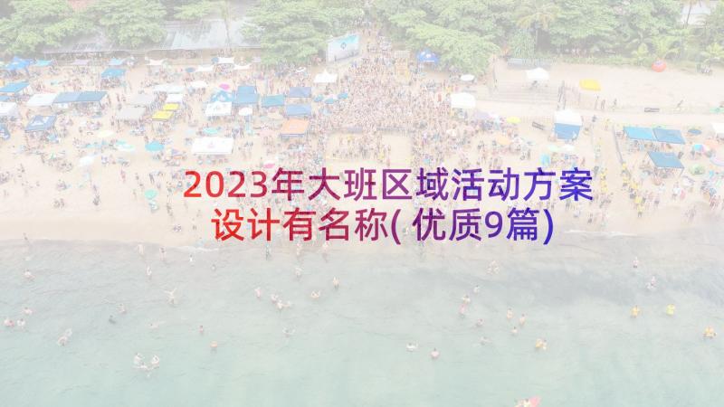 2023年大班区域活动方案设计有名称(优质9篇)