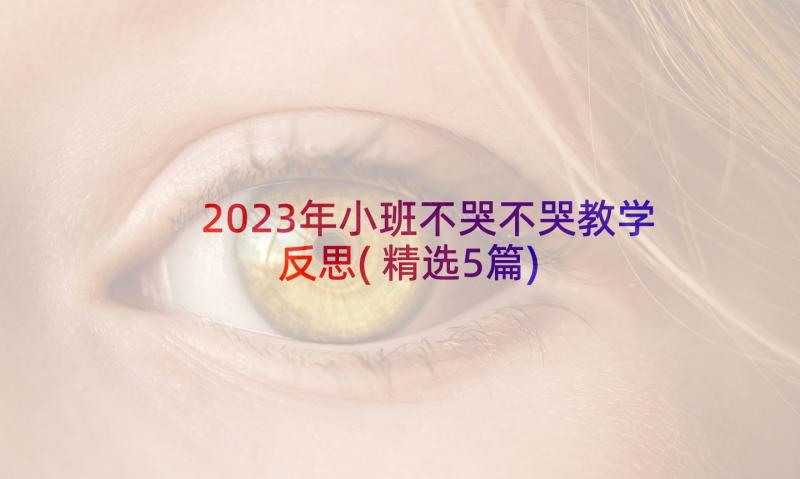 2023年小班不哭不哭教学反思(精选5篇)