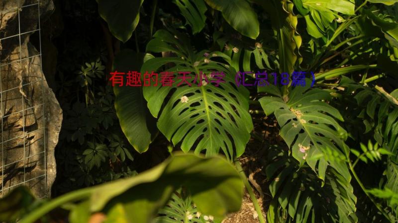 有趣的春天小学（汇总18篇）