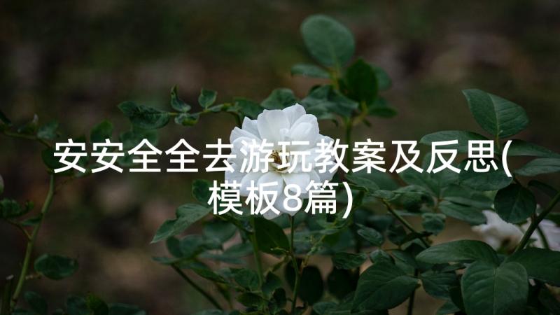 安安全全去游玩教案及反思(模板8篇)