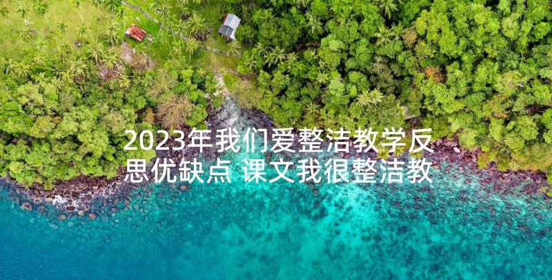 2023年我们爱整洁教学反思优缺点 课文我很整洁教学反思(优质5篇)