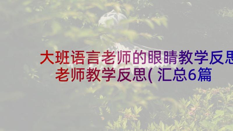 大班语言老师的眼睛教学反思 老师教学反思(汇总6篇)