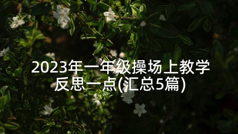 2023年一年级操场上教学反思一点(汇总5篇)