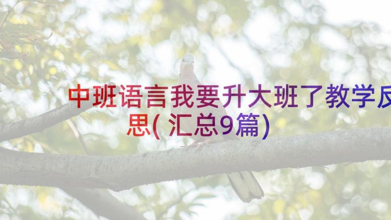 中班语言我要升大班了教学反思(汇总9篇)