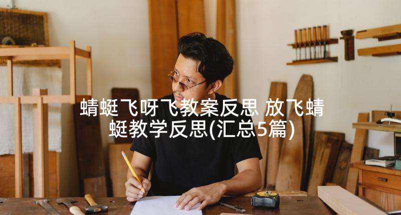 蜻蜓飞呀飞教案反思 放飞蜻蜓教学反思(汇总5篇)