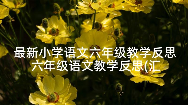 最新小学语文六年级教学反思 六年级语文教学反思(汇总7篇)