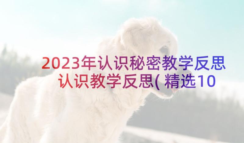 2023年认识秘密教学反思 认识教学反思(精选10篇)