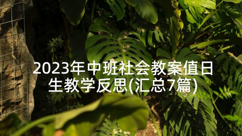 2023年中班社会教案值日生教学反思(汇总7篇)