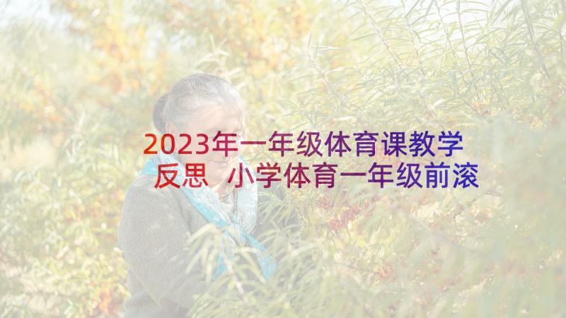 2023年一年级体育课教学反思 小学体育一年级前滚翻教学反思(大全5篇)