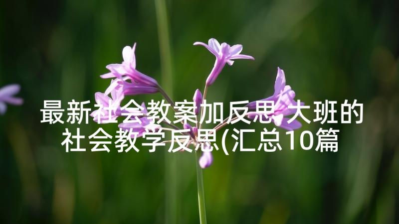 最新社会教案加反思 大班的社会教学反思(汇总10篇)