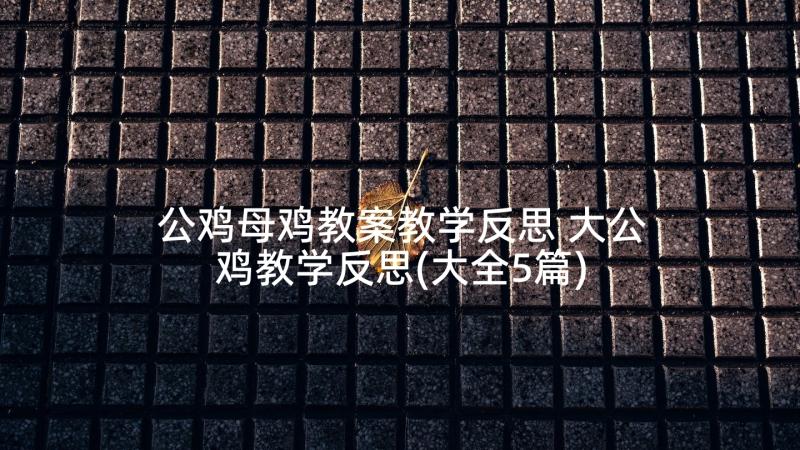 公鸡母鸡教案教学反思 大公鸡教学反思(大全5篇)