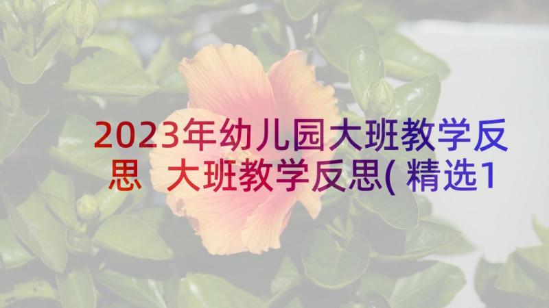 2023年幼儿园大班教学反思 大班教学反思(精选10篇)