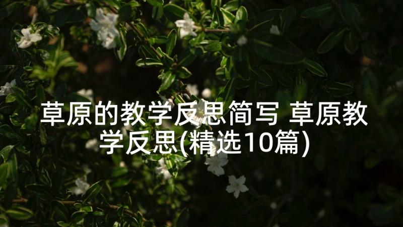 草原的教学反思简写 草原教学反思(精选10篇)