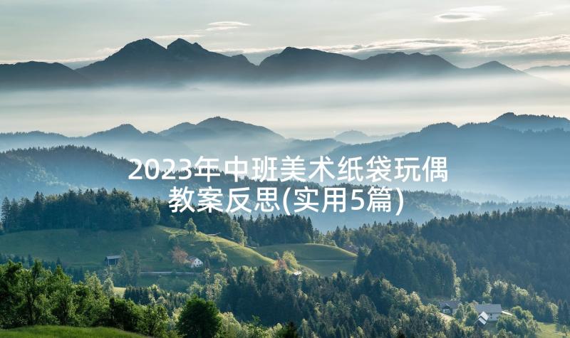 2023年中班美术纸袋玩偶教案反思(实用5篇)