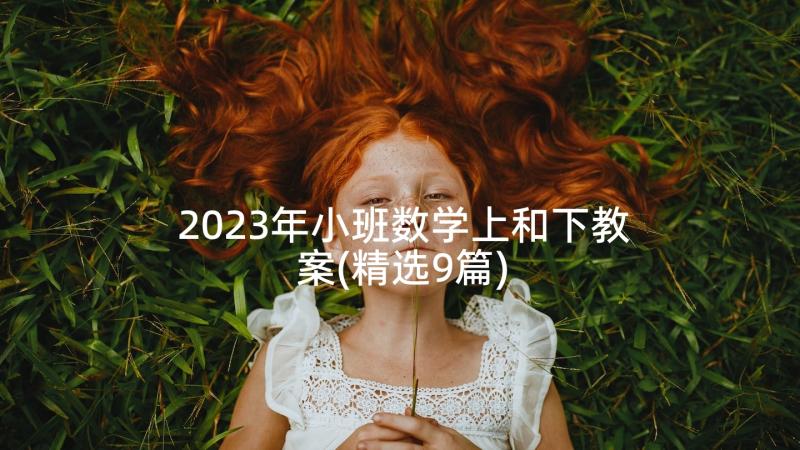 2023年小班数学上和下教案(精选9篇)